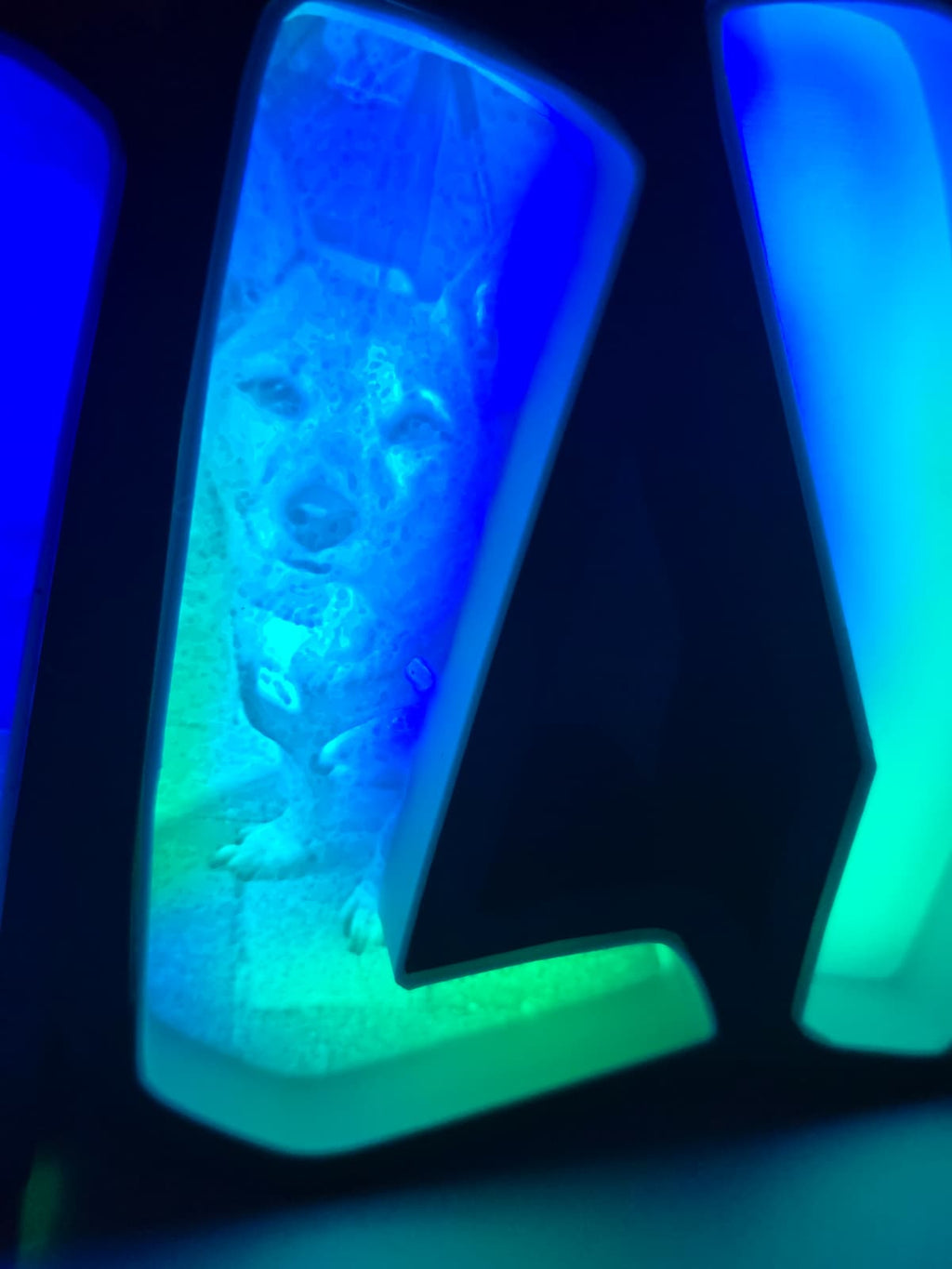 LED Schriftzug mit eigenen Bildern | Personalisiertes Geschenk