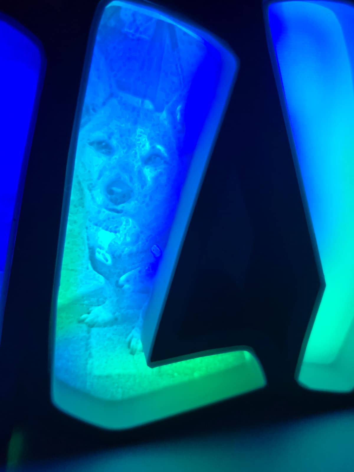 LED Schriftzug mit eigenen Bildern | Personalisiertes Geschenk